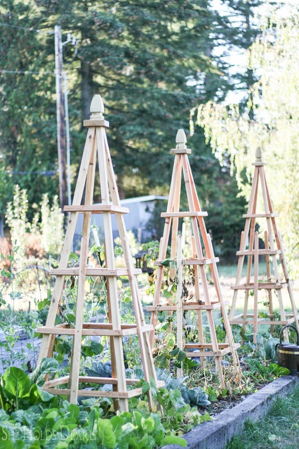 DIY French Tuteurs for the garden from She Holds Dearly